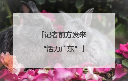 记者前方发来“活力广东”