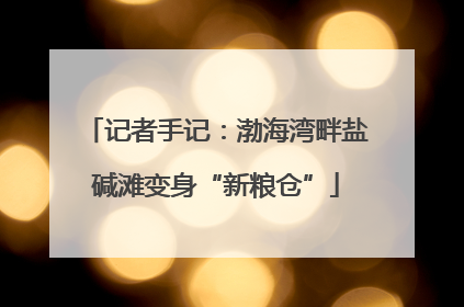 记者手记：渤海湾畔盐碱滩变身“新粮仓”
