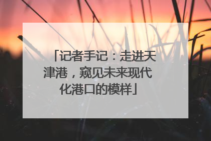 记者手记：走进天津港，窥见未来现代化港口的模样