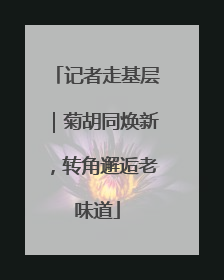 记者走基层｜菊胡同焕新，转角邂逅老味道