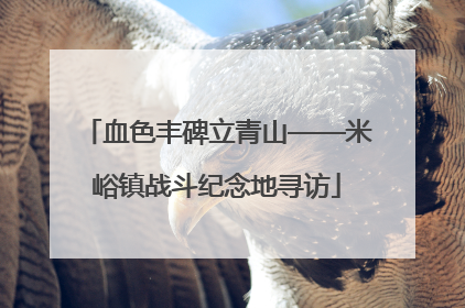血色丰碑立青山——米峪镇战斗纪念地寻访