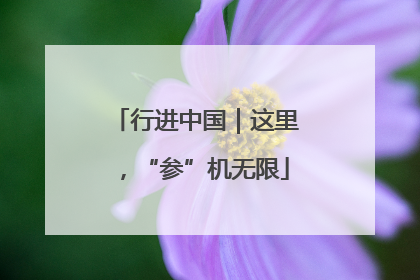 行进中国｜这里，“参”机无限
