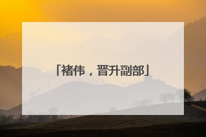 褚伟，晋升副部