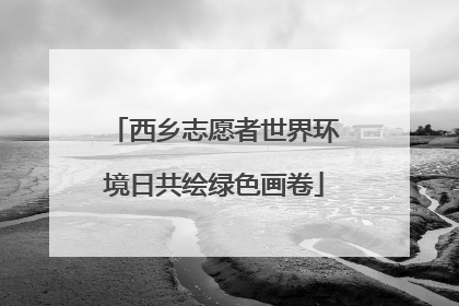 西乡志愿者世界环境日共绘绿色画卷
