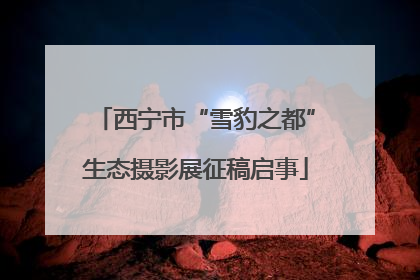 西宁市“雪豹之都”生态摄影展征稿启事