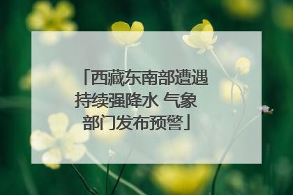 西藏东南部遭遇持续强降水 气象部门发布预警