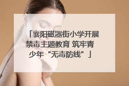 襄阳磁器街小学开展禁毒主题教育 筑牢青少年“无毒防线”