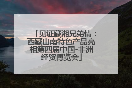 见证藏湘兄弟情：西藏山南特色产品亮相第四届中国-非洲经贸博览会
