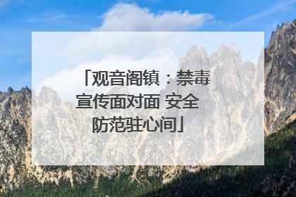 观音阁镇：禁毒宣传面对面 安全防范驻心间