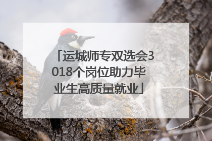 运城师专双选会3018个岗位助力毕业生高质量就业