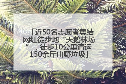 近50名志愿者集结网红徒步地“天鹅林场”，徒步10公里清运150余斤山野垃圾