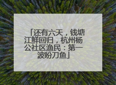 还有六天，钱塘江鲜回归，杭州杨公社区渔民：第一波盼刀鱼