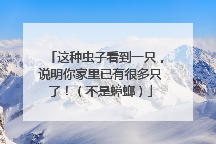 这种虫子看到一只，说明你家里已有很多只了！（不是蟑螂）