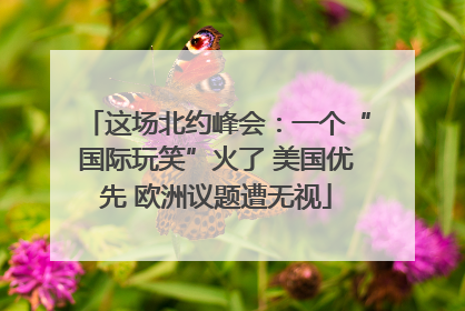 这场北约峰会：一个“国际玩笑”火了 美国优先 欧洲议题遭无视