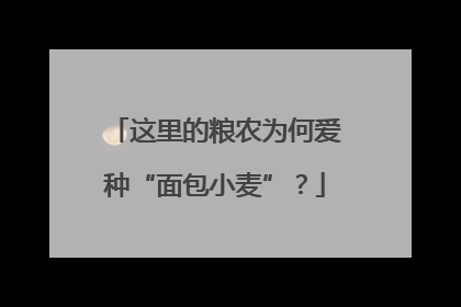 这里的粮农为何爱种“面包小麦”？