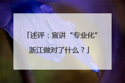 述评：宣讲“专业化” 浙江做对了什么？