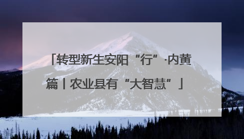 转型新生安阳“行”·内黄篇丨农业县有“大智慧”
