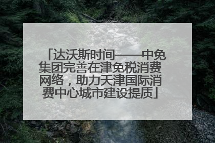 达沃斯时间——中免集团完善在津免税消费网络，助力天津国际消费中心城市建设提质