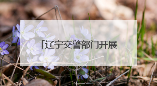 辽宁交警部门开展“安全生产月”系列主题宣传活动