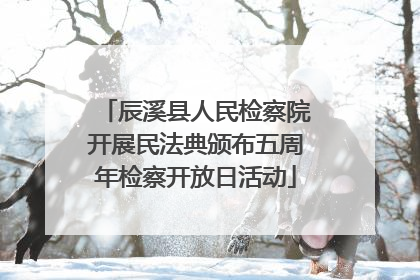 辰溪县人民检察院开展民法典颁布五周年检察开放日活动