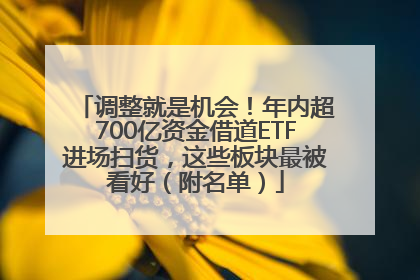 调整就是机会！年内超700亿资金借道ETF进场扫货，这些板块最被看好（附名单）