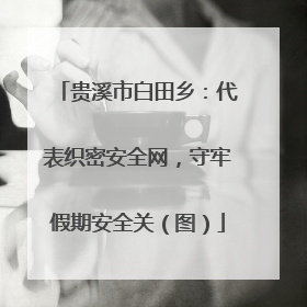 贵溪市白田乡：代表织密安全网，守牢假期安全关（图）
