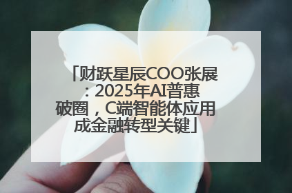 财跃星辰COO张展：2025年AI普惠破圈，C端智能体应用成金融转型关键