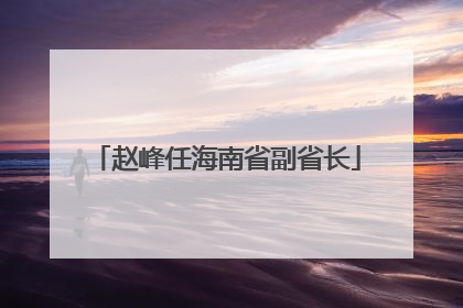 赵峰任海南省副省长