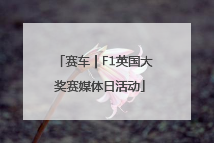 赛车｜F1英国大奖赛媒体日活动