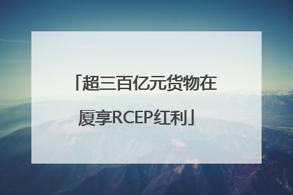 超三百亿元货物在厦享RCEP红利