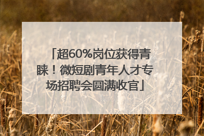 超60%岗位获得青睐！微短剧青年人才专场招聘会圆满收官