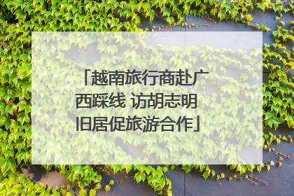 越南旅行商赴广西踩线 访胡志明旧居促旅游合作
