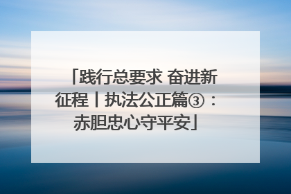 践行总要求 奋进新征程丨执法公正篇③：赤胆忠心守平安