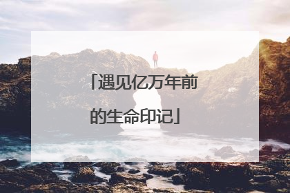 遇见亿万年前的生命印记
