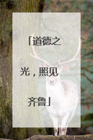 道德之光，照见齐鲁