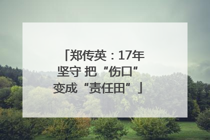郑传英：17年坚守 把“伤口”变成“责任田”