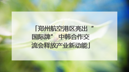 郑州航空港区亮出“国际牌” 中韩合作交流会释放产业新动能