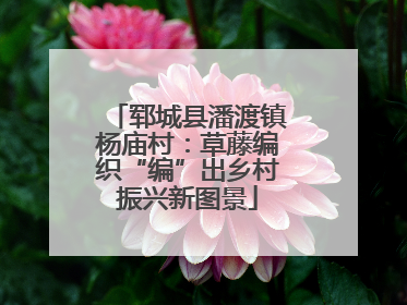 郓城县潘渡镇杨庙村：草藤编织“编”出乡村振兴新图景