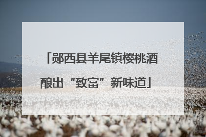 郧西县羊尾镇樱桃酒酿出“致富”新味道