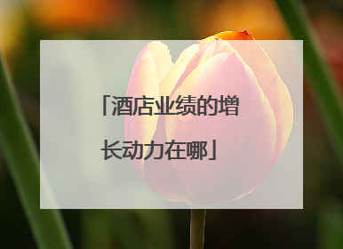 酒店业绩的增长动力在哪