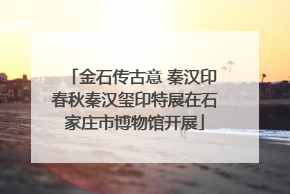 金石传古意 秦汉印春秋秦汉玺印特展在石家庄市博物馆开展