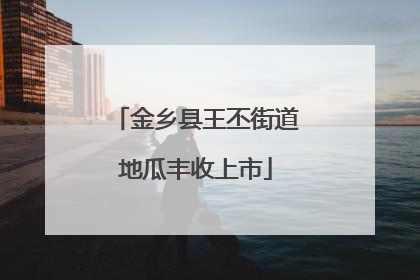 金乡县王丕街道地瓜丰收上市