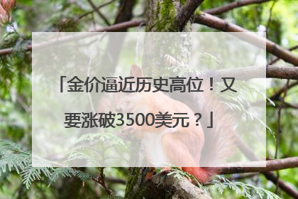 金价逼近历史高位！又要涨破3500美元？