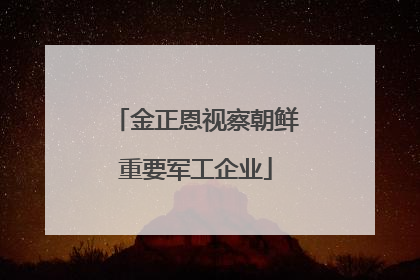 金正恩视察朝鲜重要军工企业