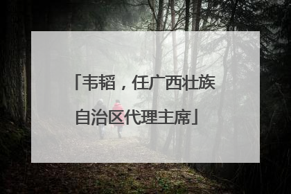 韦韬，任广西壮族自治区代理主席