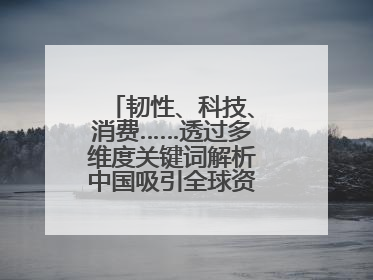 韧性、科技、消费……透过多维度关键词解析中国吸引全球资本“新磁场”