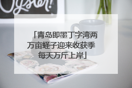 青岛即墨丁字湾两万亩蛏子迎来收获季 每天万斤上岸
