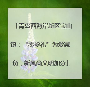 青岛西海岸新区宝山镇：“零彩礼”为爱减负，新风尚文明加分