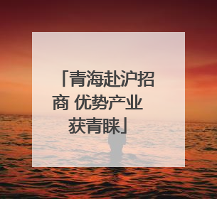 青海赴沪招商 优势产业获青睐