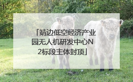 靖边低空经济产业园无人机研发中心N2标段主体封顶